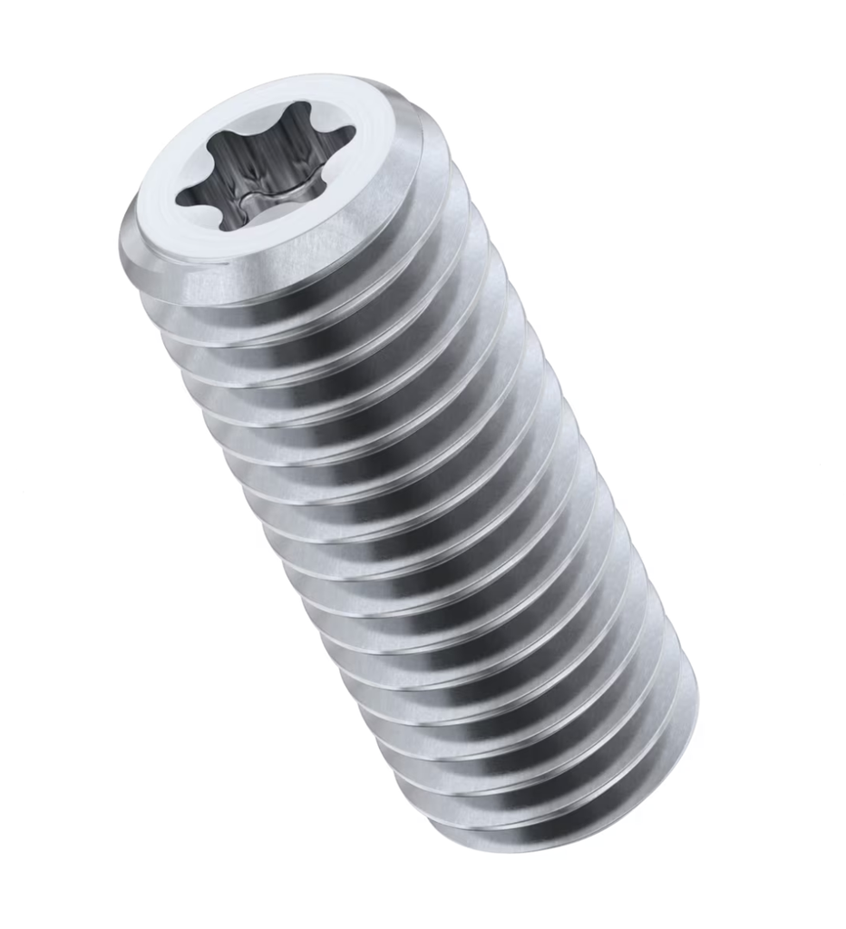 M6 x 20mm Torx Head Flat Point Set / Grub Screws - Stainless Steel (A2)