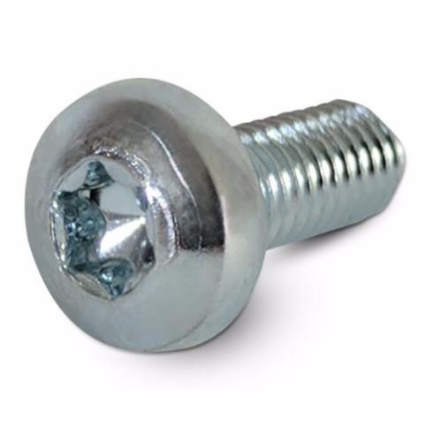 M6 x 10 mm Stainless Torx Pan Head bolts (A2 SS)